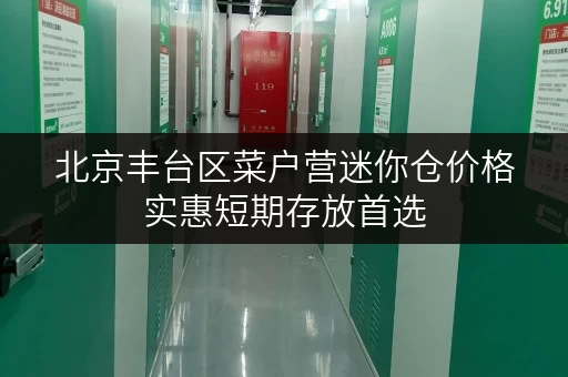 北京丰台区菜户营迷你仓价格实惠短期存放首选