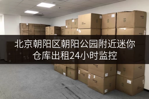 北京朝阳区朝阳公园附近迷你仓库出租24小时监控