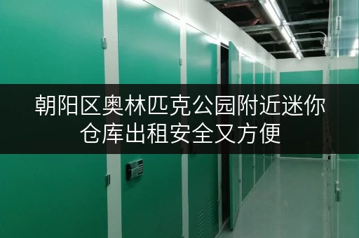朝阳区奥林匹克公园附近迷你仓库出租安全又方便