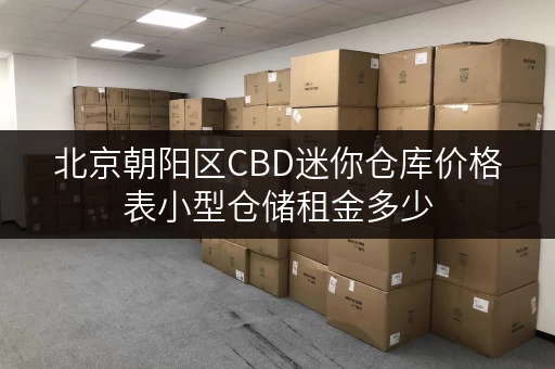 北京朝阳区CBD迷你仓库价格表小型仓储租金多少