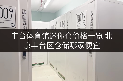 丰台体育馆迷你仓价格一览 北京丰台区仓储哪家便宜