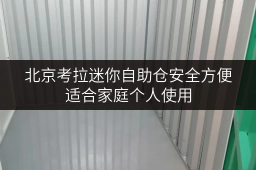北京考拉迷你自助仓安全方便适合家庭个人使用
