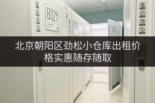 北京朝阳区劲松小仓库出租价格实惠随存随取