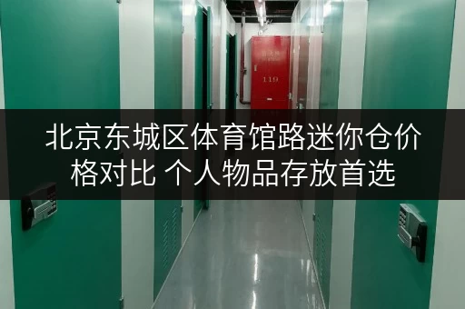 北京东城区体育馆路迷你仓价格对比 个人物品存放首选