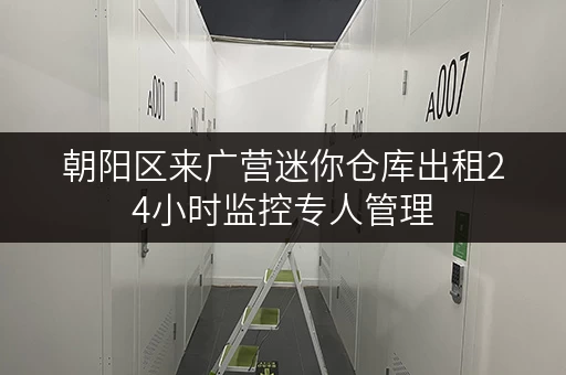 朝阳区来广营迷你仓库出租24小时监控专人管理