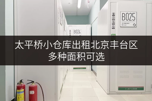 太平桥小仓库出租北京丰台区多种面积可选