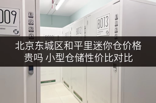 北京东城区和平里迷你仓价格贵吗 小型仓储性价比对比
