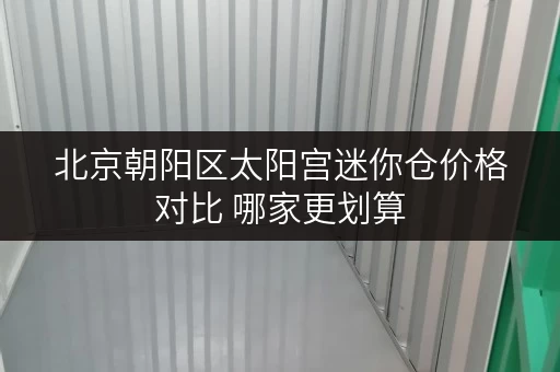 北京朝阳区太阳宫迷你仓价格对比 哪家更划算