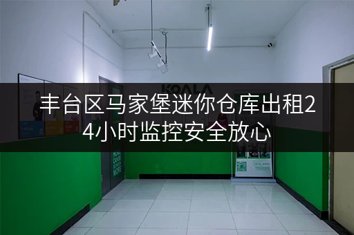 丰台区马家堡迷你仓库出租24小时监控安全放心