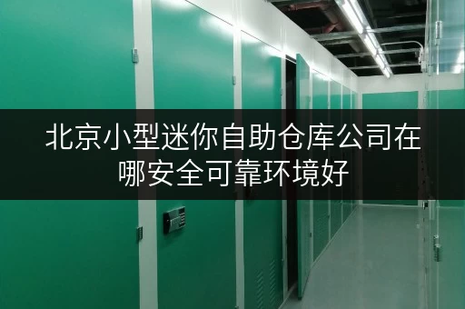 北京小型迷你自助仓库公司在哪安全可靠环境好