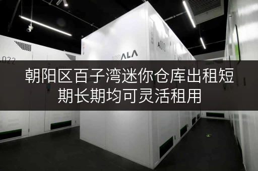 朝阳区百子湾迷你仓库出租短期长期均可灵活租用