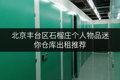 北京丰台区石榴庄个人物品迷你仓库出租推荐
