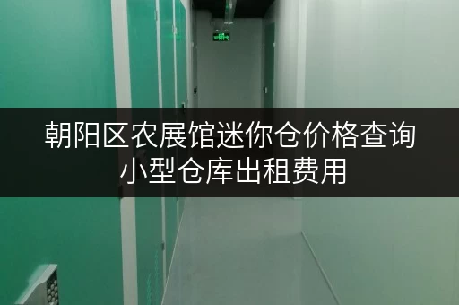 朝阳区农展馆迷你仓价格查询 小型仓库出租费用