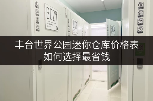 丰台世界公园迷你仓库价格表如何选择最省钱