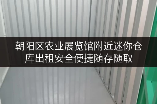 朝阳区农业展览馆附近迷你仓库出租安全便捷随存随取