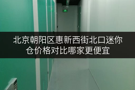 北京朝阳区惠新西街北口迷你仓价格对比哪家更便宜
