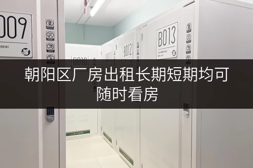 朝阳区厂房出租长期短期均可随时看房