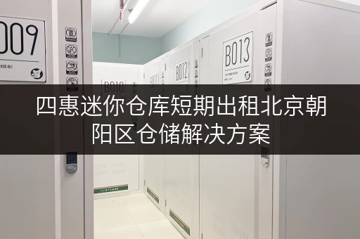 四惠迷你仓库短期出租北京朝阳区仓储解决方案
