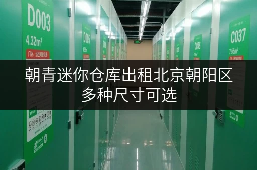 朝青迷你仓库出租北京朝阳区多种尺寸可选