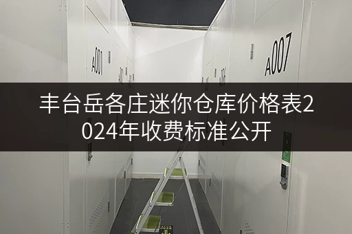 丰台岳各庄迷你仓库价格表2024年收费标准公开