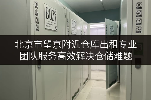 北京市望京附近仓库出租专业团队服务高效解决仓储难题