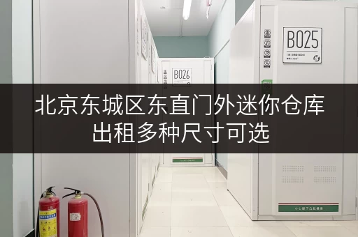 北京东城区东直门外迷你仓库出租多种尺寸可选