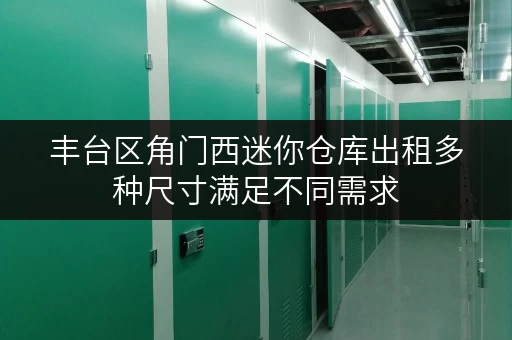 丰台区角门西迷你仓库出租多种尺寸满足不同需求