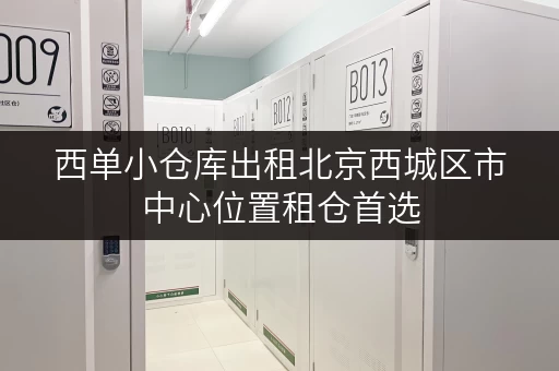 西单小仓库出租北京西城区市中心位置租仓首选