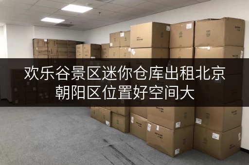 欢乐谷景区迷你仓库出租北京朝阳区位置好空间大