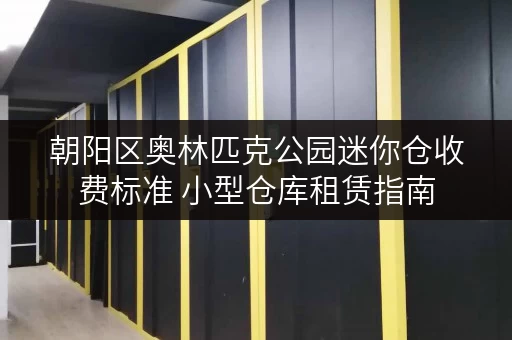 朝阳区奥林匹克公园迷你仓收费标准 小型仓库租赁指南