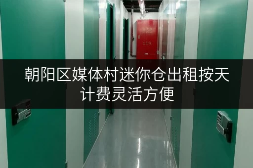 朝阳区媒体村迷你仓出租按天计费灵活方便
