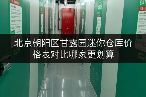 北京朝阳区甘露园迷你仓库价格表对比哪家更划算