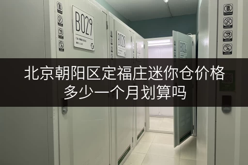 北京朝阳区定福庄迷你仓价格多少一个月划算吗