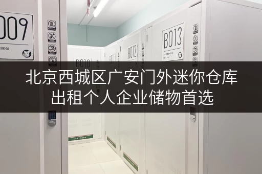 北京西城区广安门外迷你仓库出租个人企业储物首选