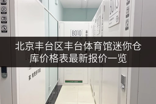 北京丰台区丰台体育馆迷你仓库价格表最新报价一览