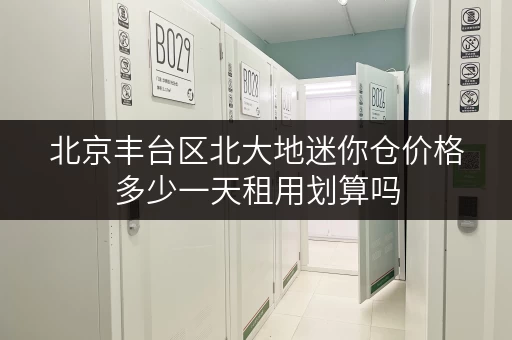 北京丰台区北大地迷你仓价格多少一天租用划算吗