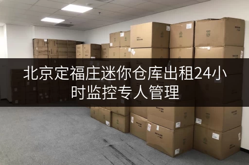 北京定福庄迷你仓库出租24小时监控专人管理