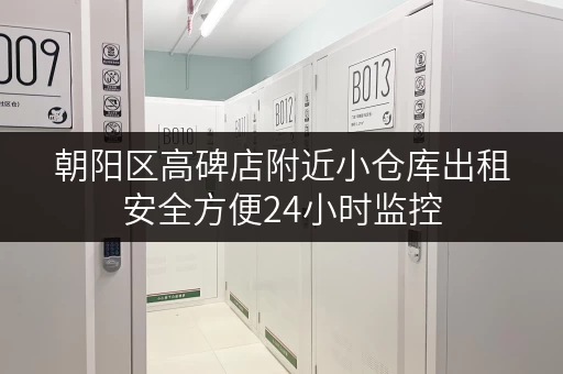 朝阳区高碑店附近小仓库出租安全方便24小时监控