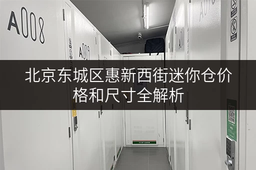 北京东城区惠新西街迷你仓价格和尺寸全解析