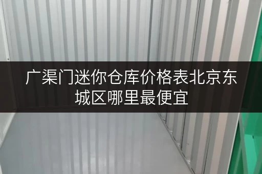 广渠门迷你仓库价格表北京东城区哪里最便宜