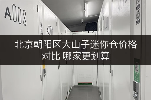 北京朝阳区大山子迷你仓价格对比 哪家更划算