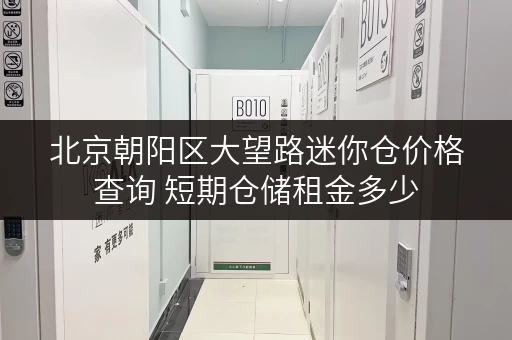 北京朝阳区大望路迷你仓价格查询 短期仓储租金多少