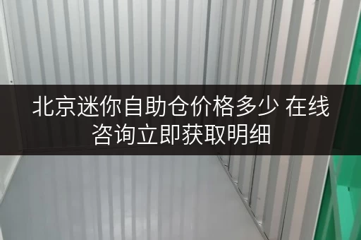 北京迷你自助仓价格多少 在线咨询立即获取明细