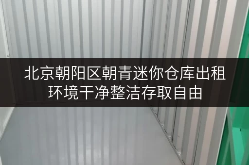 北京朝阳区朝青迷你仓库出租环境干净整洁存取自由