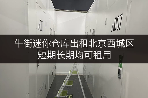 牛街迷你仓库出租北京西城区短期长期均可租用