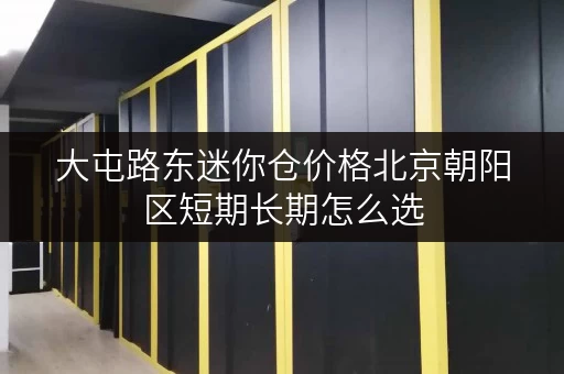 大屯路东迷你仓价格北京朝阳区短期长期怎么选