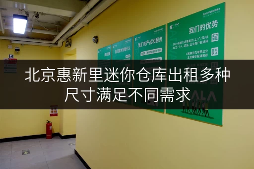 北京惠新里迷你仓库出租多种尺寸满足不同需求