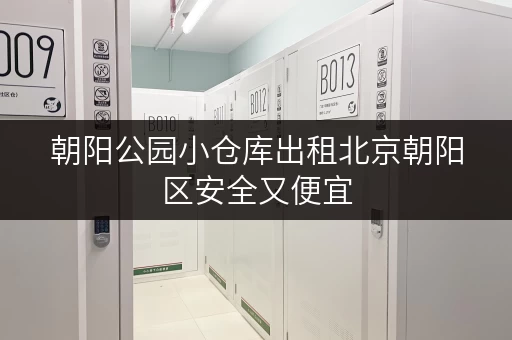 朝阳公园小仓库出租北京朝阳区安全又便宜