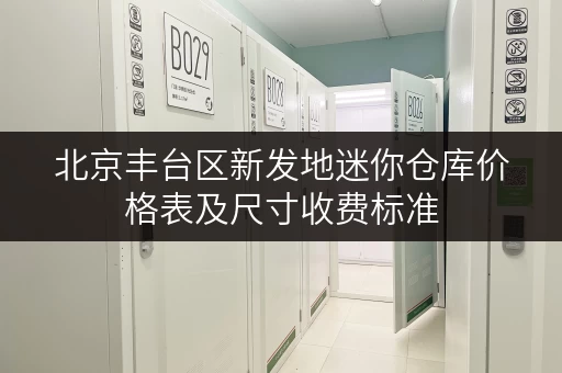 北京丰台区新发地迷你仓库价格表及尺寸收费标准