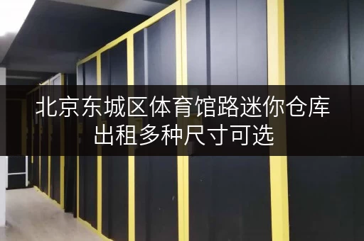 北京东城区体育馆路迷你仓库出租多种尺寸可选